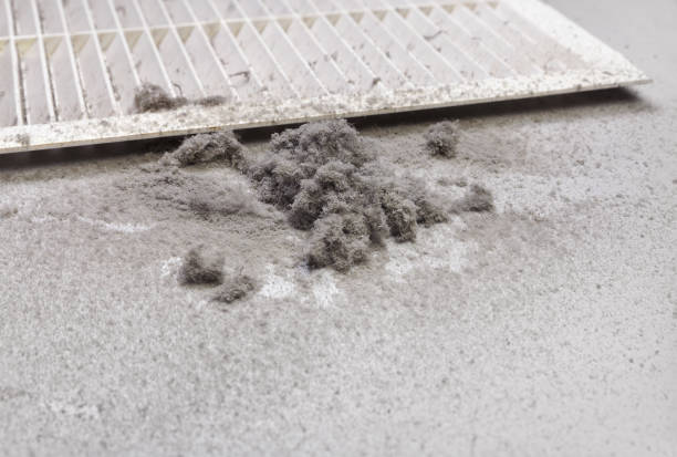 Best Local Air Duct Cleaning Services  in Sudan, TX