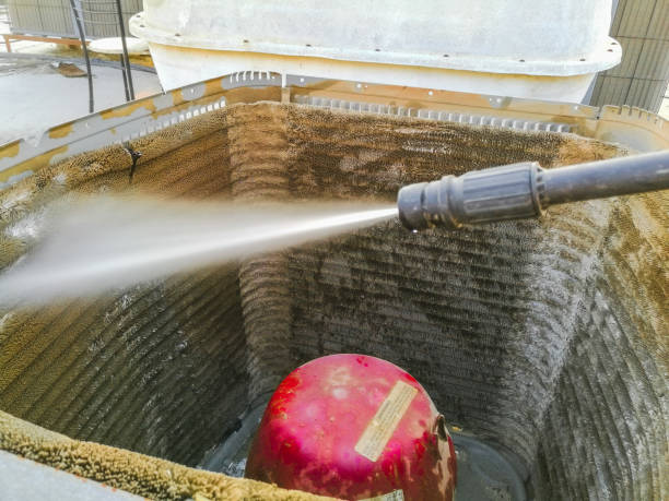 Best Air Duct Mold Removal  in Sudan, TX
