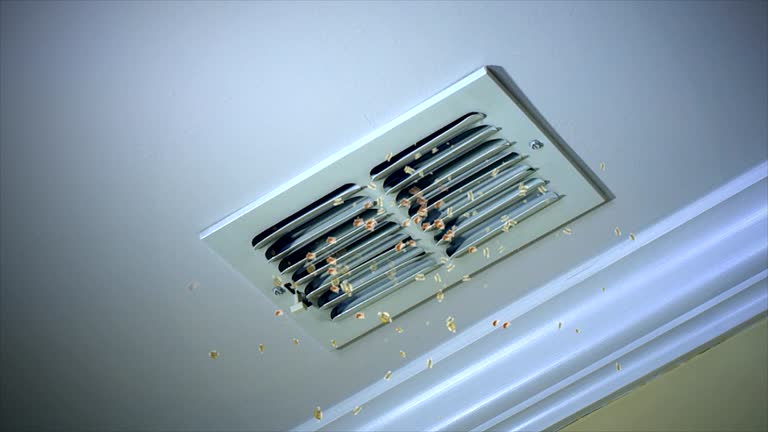 Best Duct Cleaning for Homes  in Sudan, TX